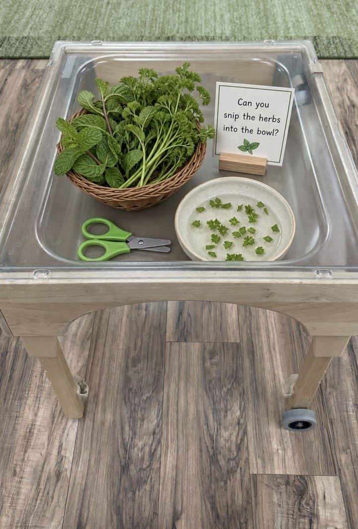 Herb Snipping Tray sensory activity